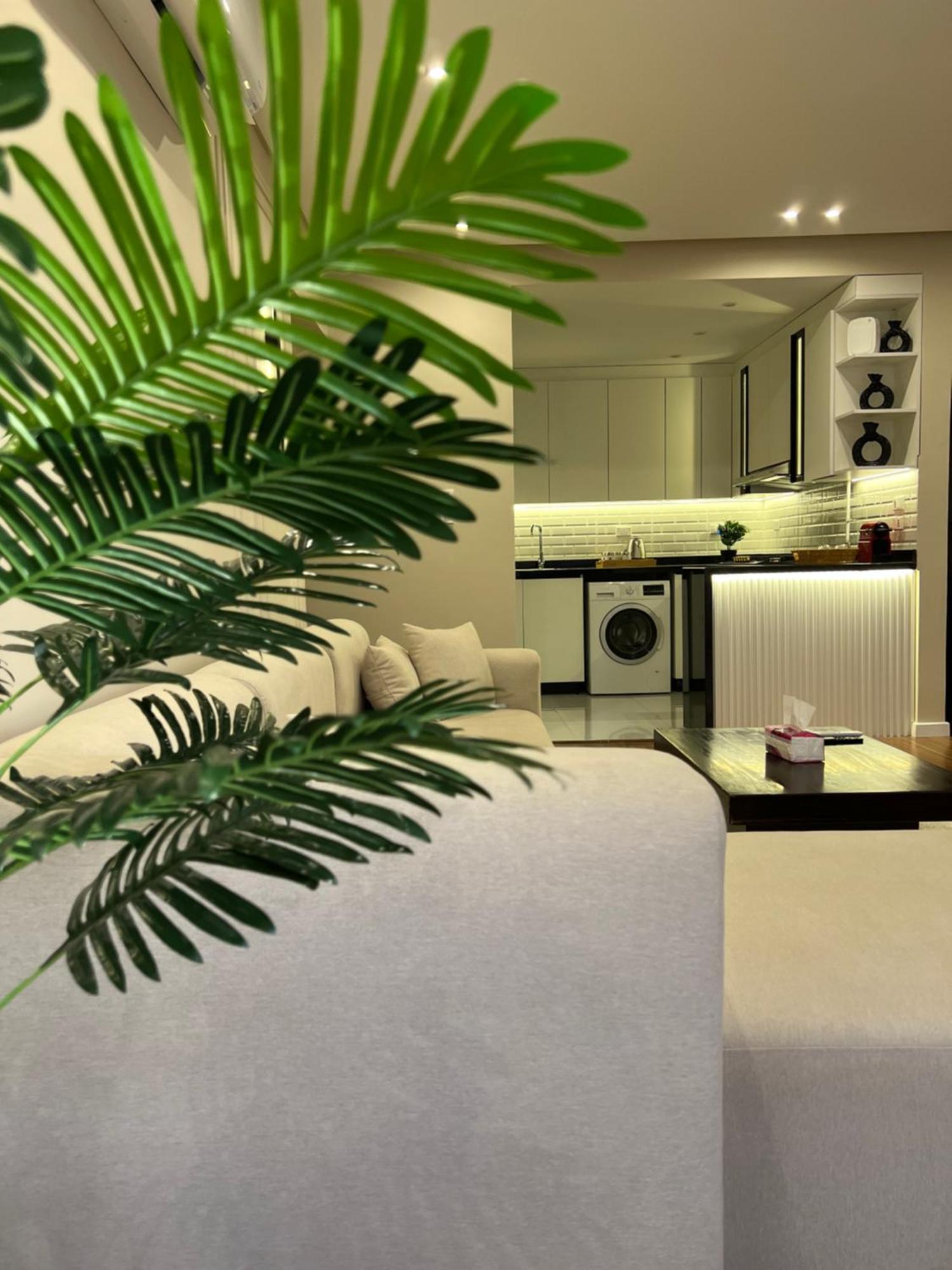 Luxurious Family Facing Stars Mall Apartment